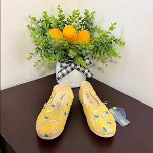 TOMS Women’s Slip on Shoes